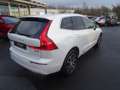 Volvo XC60 B5 Inscription AWD Weiß - thumbnail 4