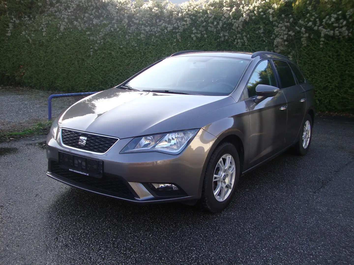 SEAT Leon Reference Grau - 1
