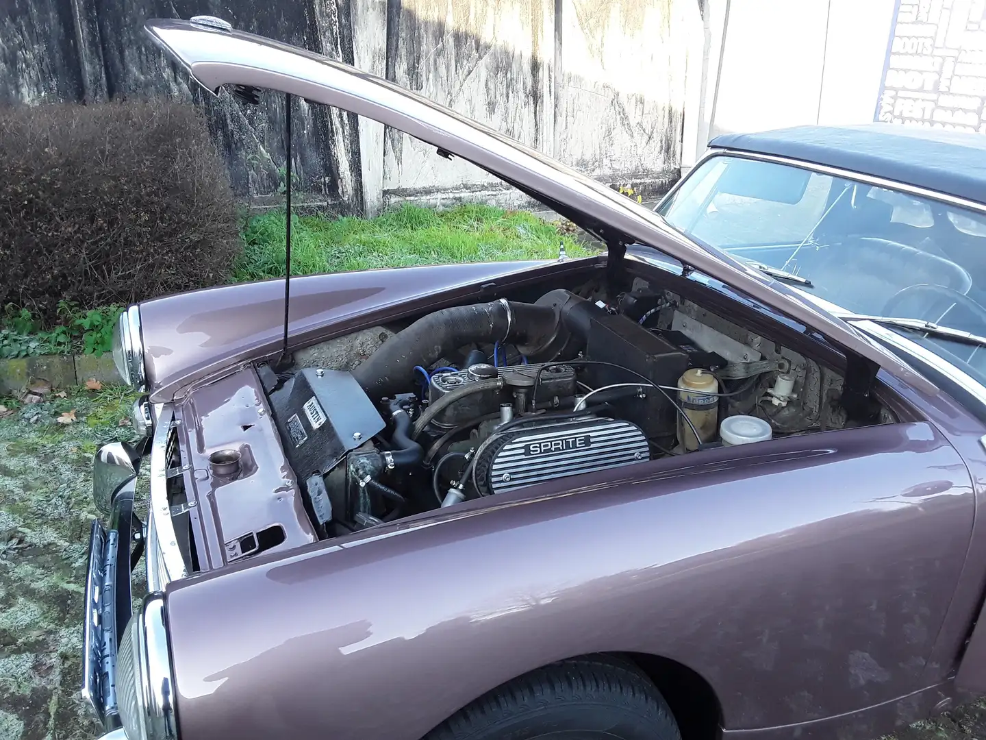 Austin-Healey Sprite Braun - 1