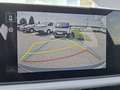 Kia Seltos SELTOS NEUES Modell Silber-Ausstattung Blau - thumbnail 13