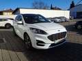 Ford Kuga 2,5 Duratec PHEV ST-Line X Aut. Weiß - thumbnail 7