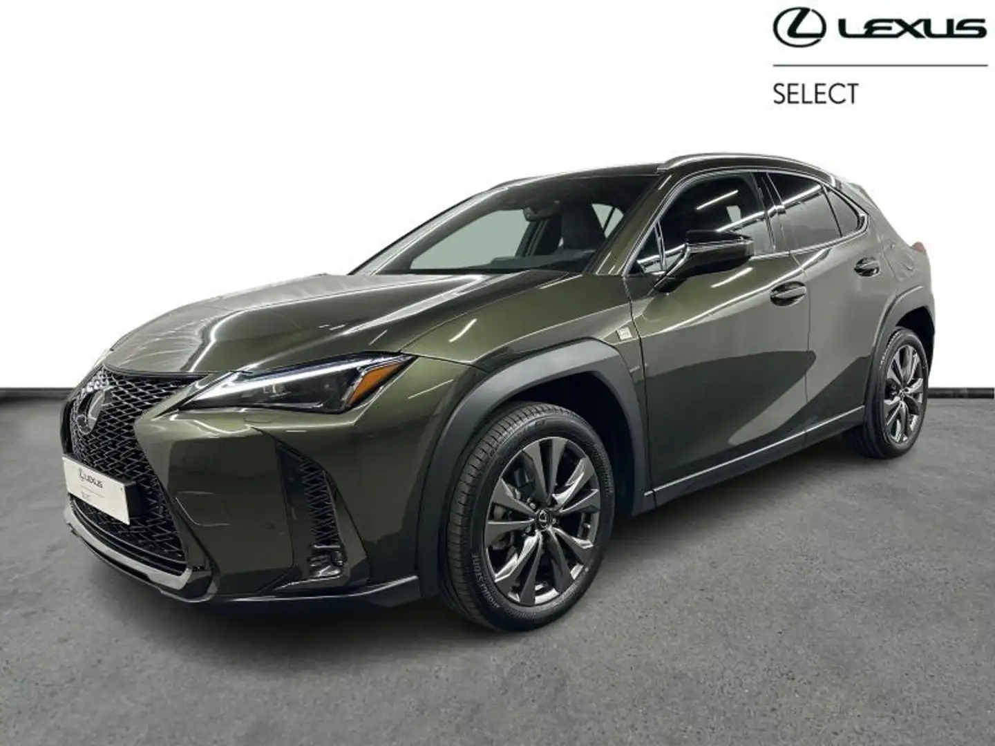 Lexus UX 250h F SPORT Design Zelená - 1