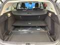 Ford Focus Turnier 1,5 EcoBlue Titanium Aut. Grau - thumbnail 9