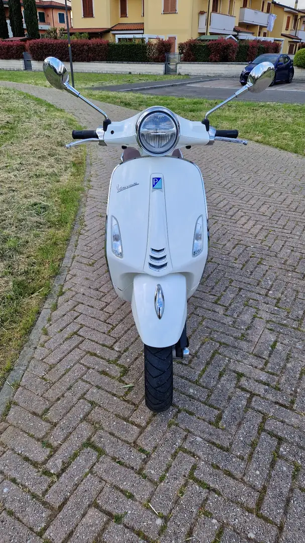 Piaggio Primavera Alb - 1