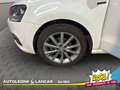 Volkswagen Polo 5p 1.4 TDI Fresh 75cv 1 PROPRIETARIO Weiß - thumbnail 14