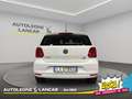 Volkswagen Polo 5p 1.4 TDI Fresh 75cv 1 PROPRIETARIO Weiß - thumbnail 6