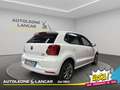 Volkswagen Polo 5p 1.4 TDI Fresh 75cv 1 PROPRIETARIO Weiß - thumbnail 7
