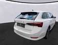 Skoda Octavia Combi 2.0 TDI DSG Style Navi, AHK Weiß - thumbnail 4