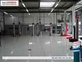Volkswagen Golf GTE 272PK DSG CAMERA/ADAP.CRUISE/STOEL+STUURVERW. Blauw - thumbnail 4