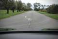 BMW 530 530d Touring M-Sportpakket G31 Gris - thumbnail 47