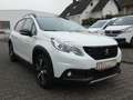 Peugeot 2008 GT-Line Automatk *KLIMA*ALU*PANORAMADACH* Blanc - thumbnail 10