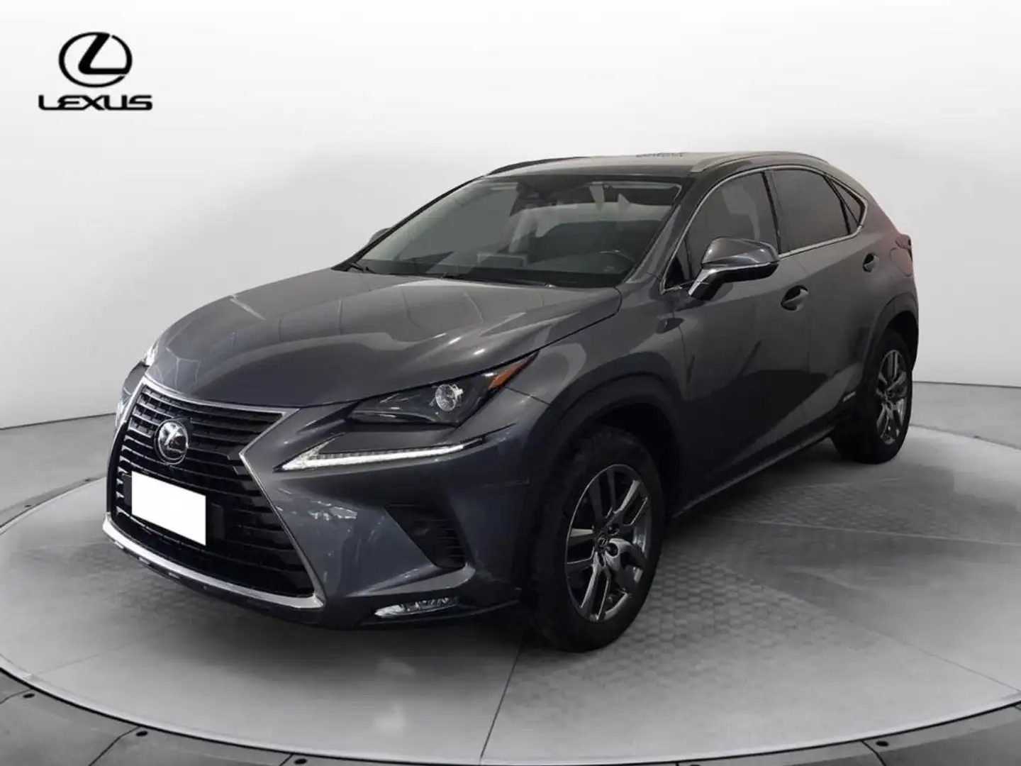 Lexus NX 300 h 2.5 Premium 4wd cvt Сірий - 1