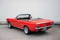 Ford Mustang Rojo - thumbnail 49