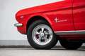 Ford Mustang Rot - thumbnail 36