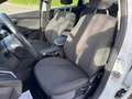 Ford Focus Turnier Titanium Sport Blanc - thumbnail 9