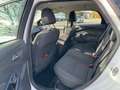 Ford Focus Turnier Titanium Sport Blanc - thumbnail 14