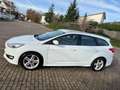 Ford Focus Turnier Titanium Sport Blanc - thumbnail 4