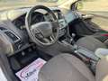 Ford Focus Turnier Titanium Sport Blanc - thumbnail 10