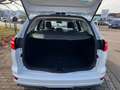 Ford Focus Turnier Titanium Sport Blanc - thumbnail 18