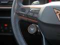 CUPRA Leon Sp 1.4 TSI VZ e-Hybrid NAVI AHK KAM LED Rot - thumbnail 14
