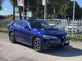 Alfa Romeo Stelvio Stelvio 2020 2.2 t Ti Q4 190cv auto Bleu - thumbnail 1