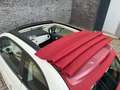Fiat 500 Cabrio 1.2 Easy Wit - thumbnail 7