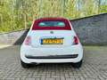 Fiat 500 Cabrio 1.2 Easy Wit - thumbnail 4