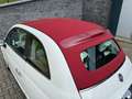 Fiat 500 Cabrio 1.2 Easy Wit - thumbnail 6