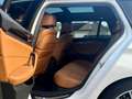 BMW 530 5-serie Touring 530i High Executive - PANO DAK | L Weiß - thumbnail 13