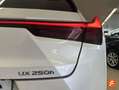 Lexus UX 250h 2.0 Business Blanco - thumbnail 10