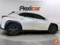 Lexus UX 250h 2.0 Business Blanco - thumbnail 9
