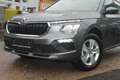 Skoda Kamiq 1,5 TSi AHK Sitzh LED PDC Klima Grau - thumbnail 1