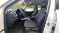 Audi Q5 2.0TDI CD quattro S Line Edition 150 Blanco - thumbnail 4