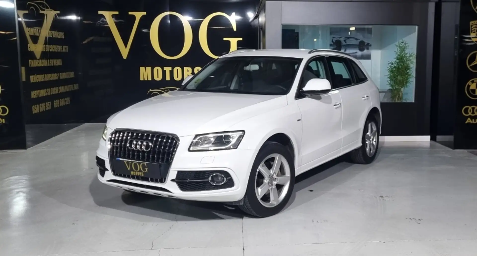 Audi Q5 2.0TDI CD quattro S Line Edition 150 Blanco - 1