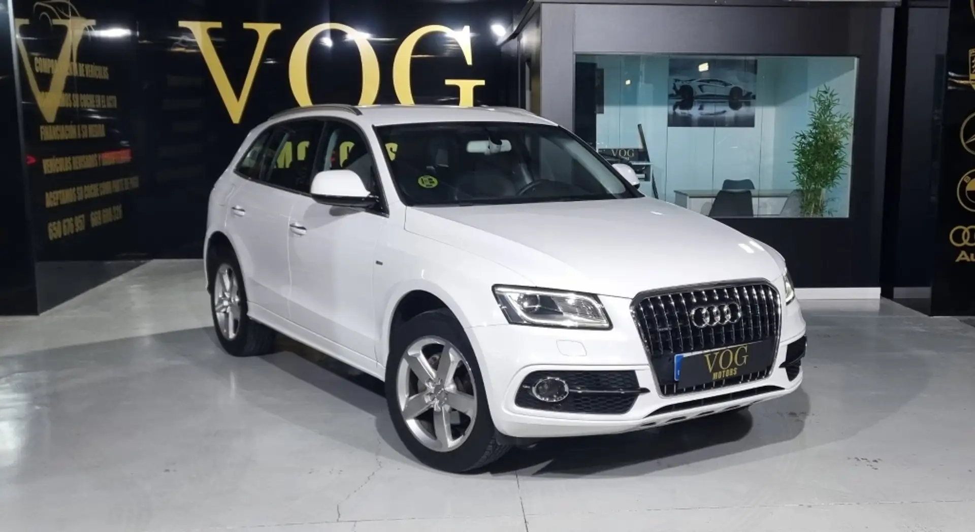 Audi Q5 2.0TDI CD quattro S Line Edition 150 Blanco - 2