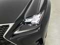 Lexus RC 300h F Sport Premium | Mark Levinson | Adaptief Demping Noir - thumbnail 49