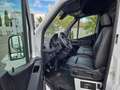 Mercedes-Benz Sprinter Sprinter 317 CDI Kasten Hoch Lang RüKamera KLIMA Weiß - thumbnail 11