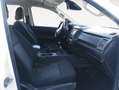 Ford Ranger Pickup 2.0 Ecoblue Doble Cabina XL 4x4 125 Blanco - thumbnail 12