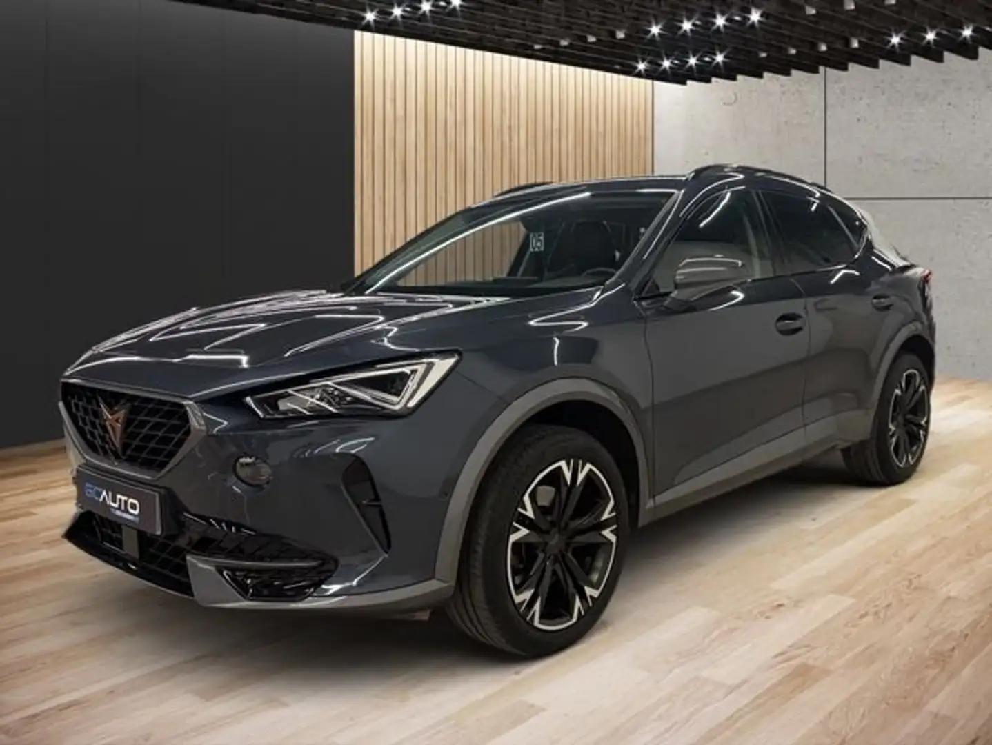 CUPRA Formentor 2.0 TDI 150 Gris - 1