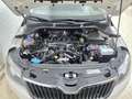 Skoda Rapid/Spaceback 1.6TDI CR Ambition DSG 66kW Blanc - thumbnail 18