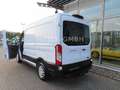 Ford Transit Kasten 350 L2 Trend Weiß - thumbnail 24