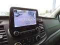 Ford Transit Kasten 350 L2 Trend Weiß - thumbnail 37