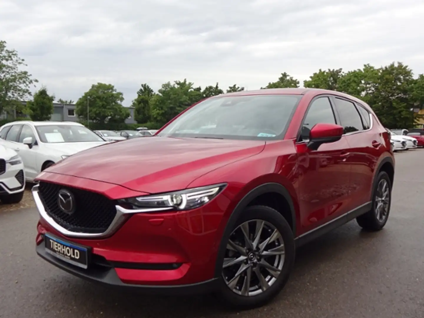 Mazda CX-5 G165 SPORTS-LINE AT 360° ACC HUD BOSE Rosso - 2