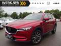Mazda CX-5 G165 SPORTS-LINE AT 360° ACC HUD BOSE Rosso - thumbnail 1