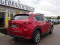 Mazda CX-5 G165 SPORTS-LINE AT 360° ACC HUD BOSE Rosso - thumbnail 7