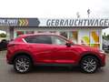 Mazda CX-5 G165 SPORTS-LINE AT 360° ACC HUD BOSE Rosso - thumbnail 8