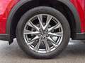 Mazda CX-5 G165 SPORTS-LINE AT 360° ACC HUD BOSE Rosso - thumbnail 11