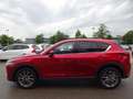 Mazda CX-5 G165 SPORTS-LINE AT 360° ACC HUD BOSE Rosso - thumbnail 4