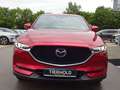 Mazda CX-5 G165 SPORTS-LINE AT 360° ACC HUD BOSE Rosso - thumbnail 10