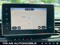 Renault Trafic Pkw Grand Spaceclass Blue dCi 170 EDC Sic Noir - thumbnail 15